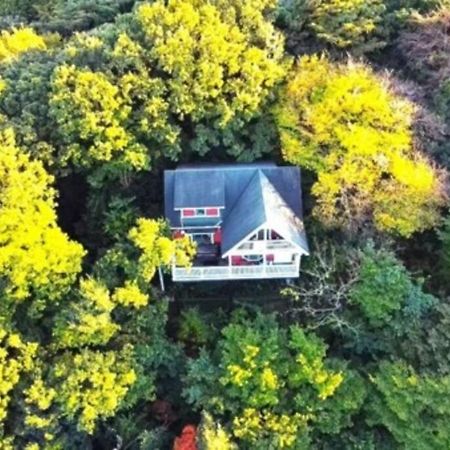 絶景大型ログハウス最大20人ハートウッド熱海邸 熱海市 エクステリア 写真