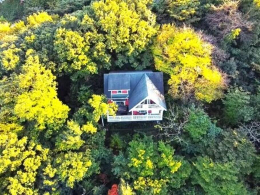 絶景大型ログハウス最大20人ハートウッド熱海邸 熱海市 エクステリア 写真
